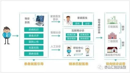 國產醫(yī)療器械崛起 資本青睞與進口替代浪潮下的互聯(lián)網信息服務新機遇